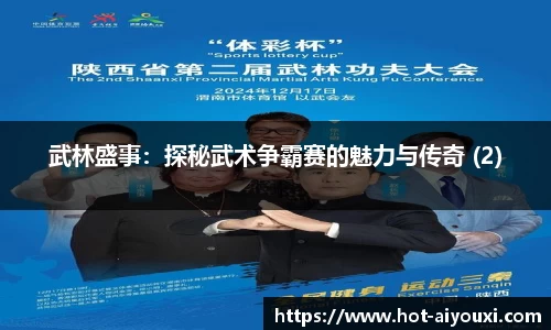 武林盛事：探秘武术争霸赛的魅力与传奇 (2)